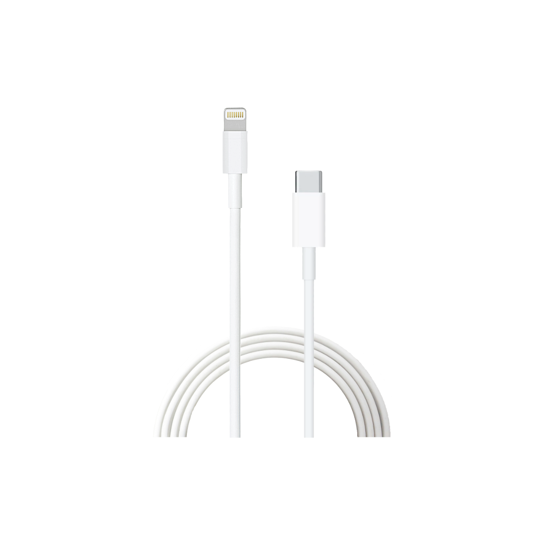 Cavo Lightning-USB C - per iPhone iPad, Ricarica e Dati